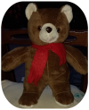orso_scuro_piccolo