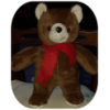 orso_scuro_piccolo